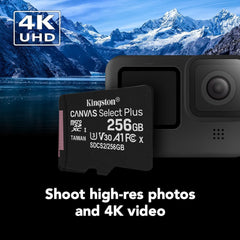 256GB Kingston Card With Adapter