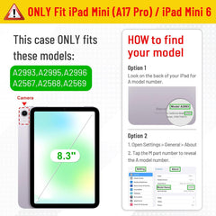 iPad Mini 7 & Mini 6